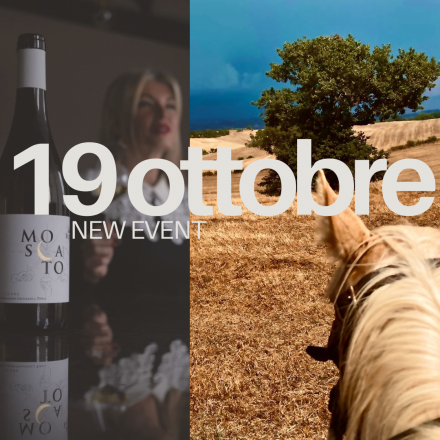 Passeggiata a cavallo e degustazione vini